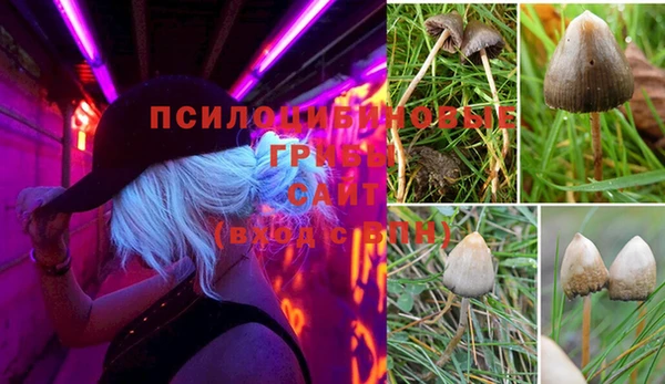героин Алексин