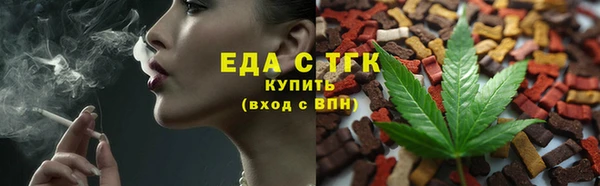 шишки Медвежьегорск