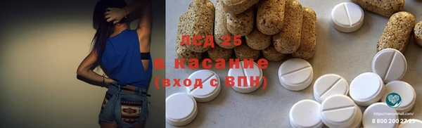 сатива Мегион