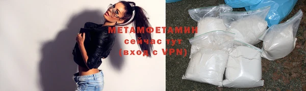 шишки Медвежьегорск