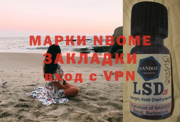 шишки Медвежьегорск