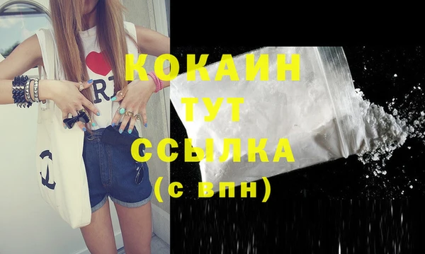 шишки Медвежьегорск