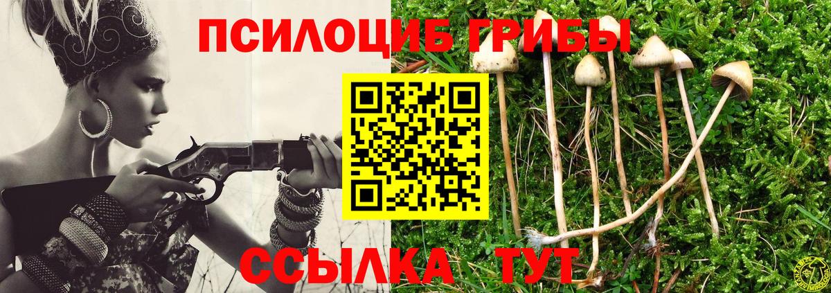 Галлюциногенные грибы Psilocybine cubensis  магазин продажи наркотиков  Дзержинский  Вход с VPN  Галлюциногенные грибы ЛСД 