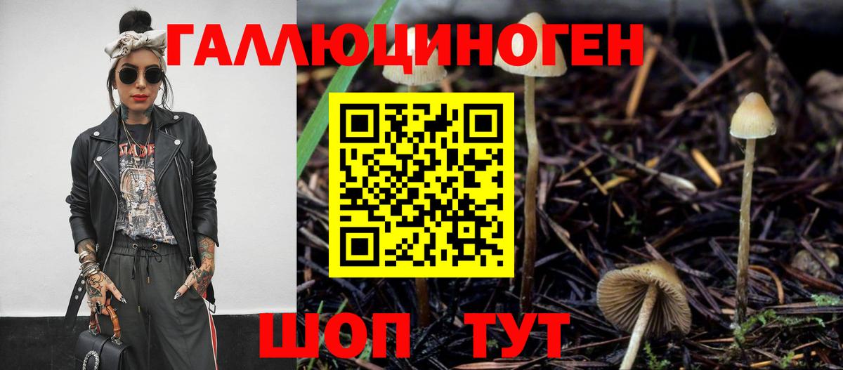 Псилоцибиновые грибы GOLDEN TEACHER  Галлюциногенные грибы Psilocybe  Дзержинский 