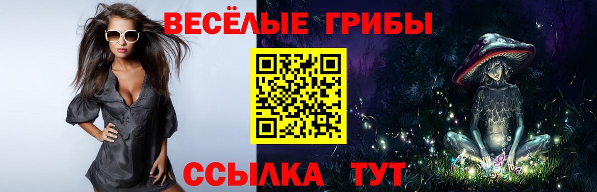 Галлюциногенные грибы Psilocybine cubensis Дзержинский